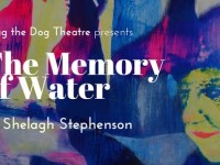 THE MEMORY OF WATER by Wag The Dog Theatre