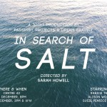 IN SEARCH OF SALT by Passerby Projects