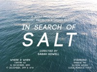 IN SEARCH OF SALT by Passerby Projects