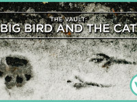 Video: The Vault: Big Bird and the Cat